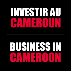 Investir au Cameroun, Business in Cameroon