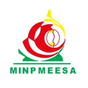 Ministère des Petites et Moyennes Entreprises, de l’Économie Sociale et de l’Artisanat (MINPMEESA)