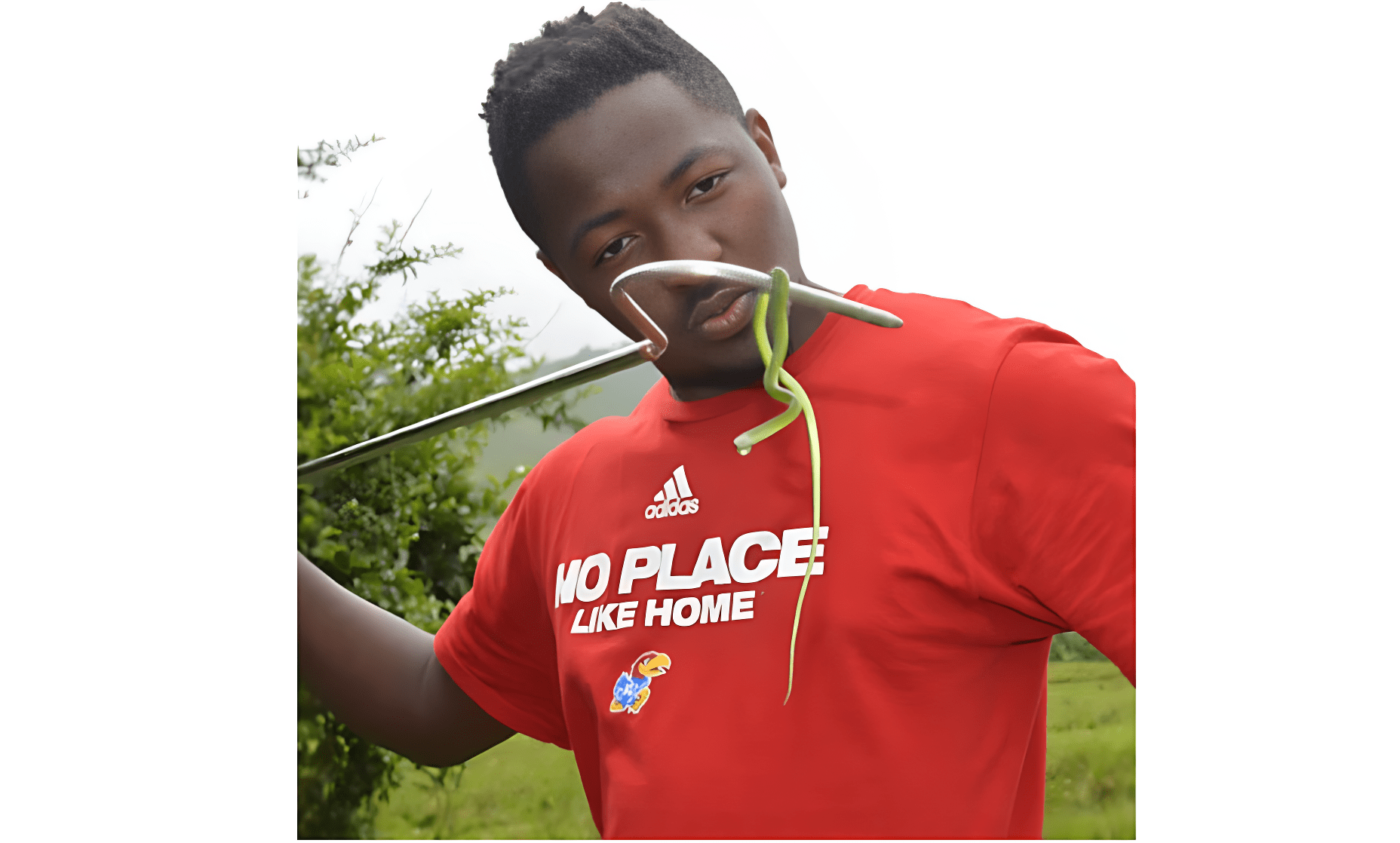 Read more about the article Power 237: Spotlight on Dr. Walter Paulin Tapondjou, Cameroonian Biodiversity Scientist