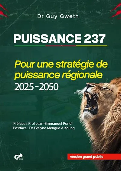Couverture du livre Puissance 237